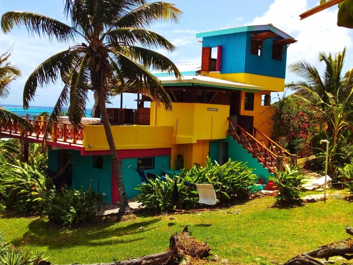 Windy View Guest House Archibolds Bagian luar foto