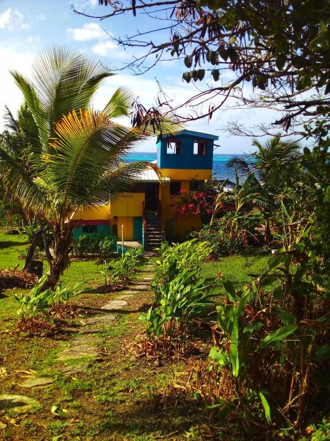 Windy View Guest House Archibolds Bagian luar foto