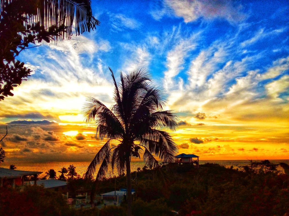 Windy View Guest House Archibolds Bagian luar foto