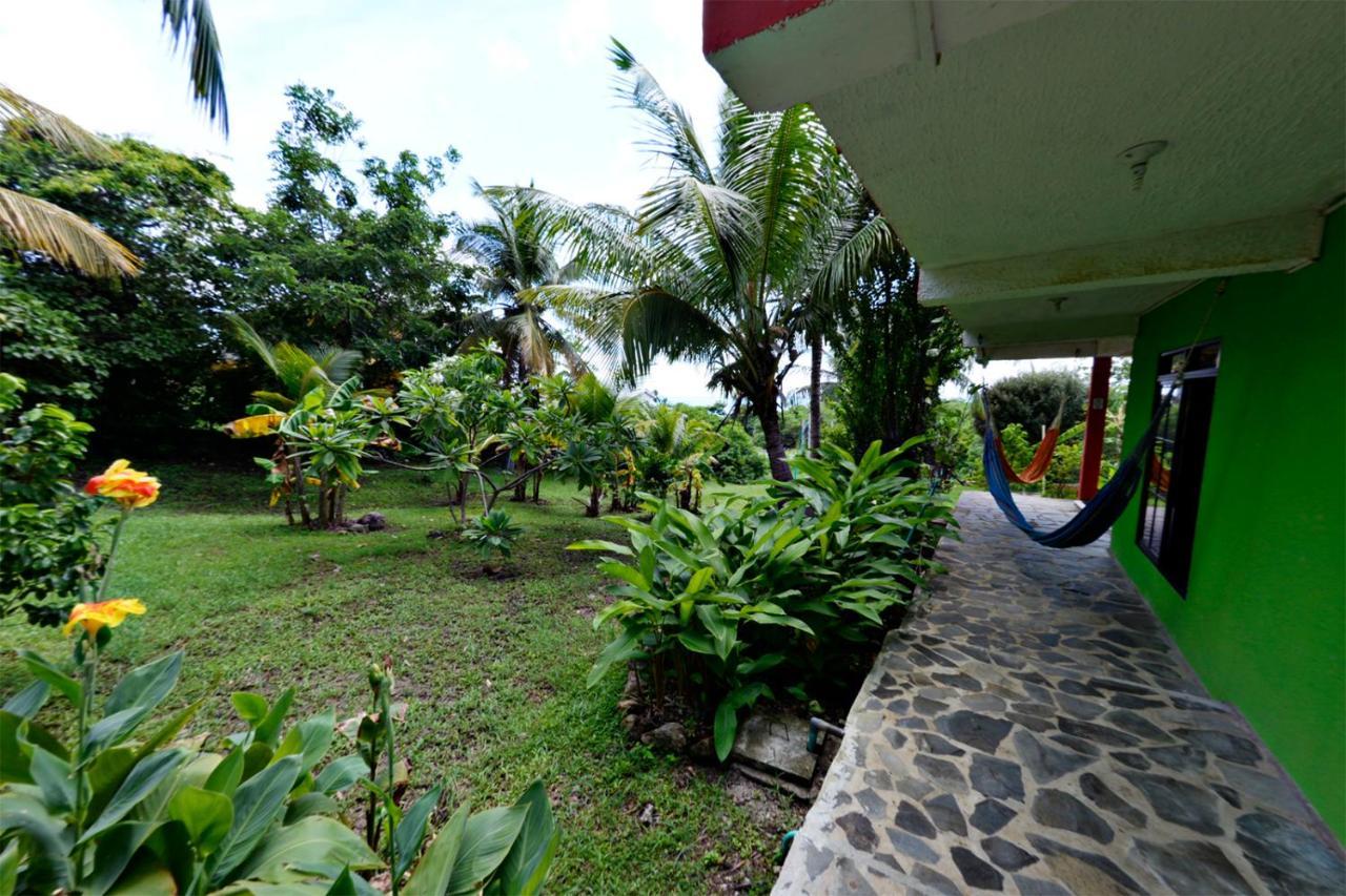 Windy View Guest House Archibolds Bagian luar foto