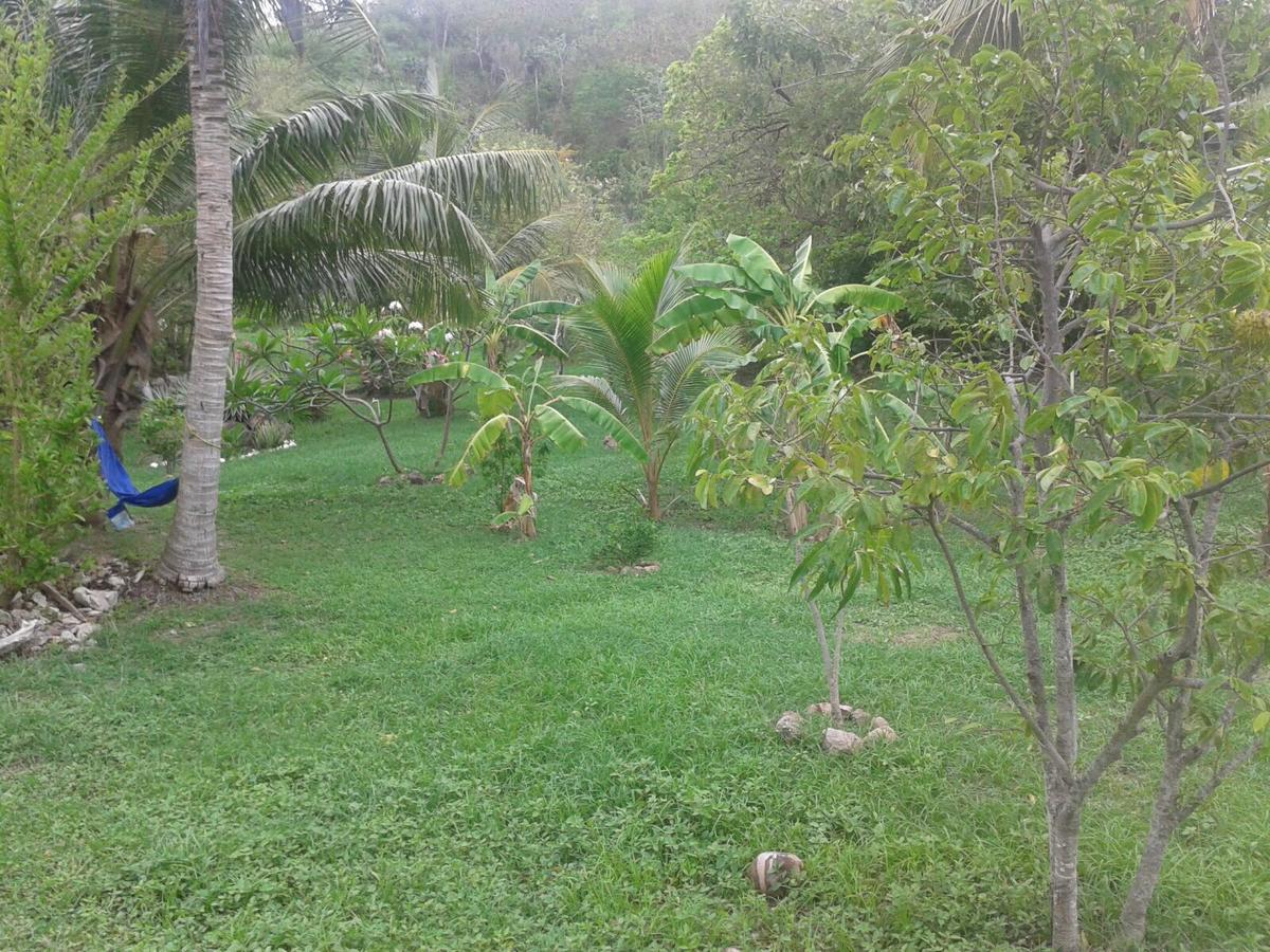 Windy View Guest House Archibolds Bagian luar foto