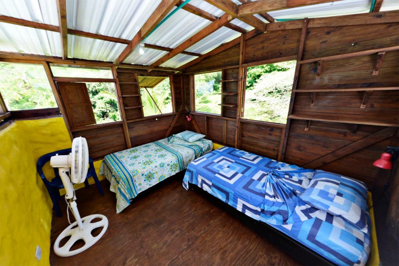 Windy View Guest House Archibolds Bagian luar foto